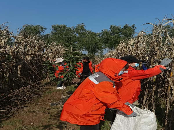 1680244915.jpg 图片15.jpg