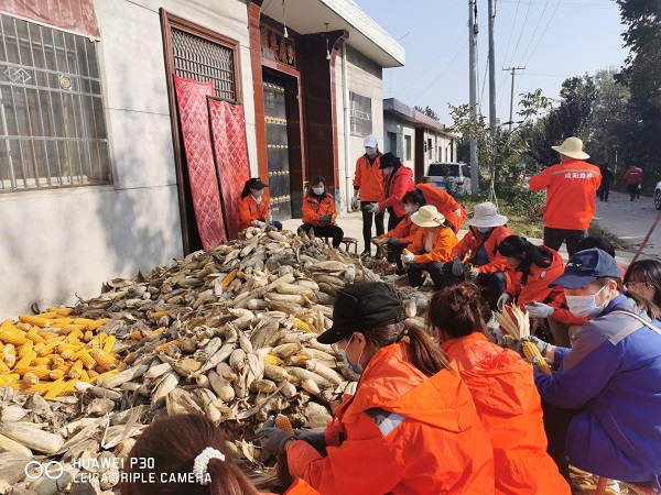 1680244982.jpg 图片17.jpg